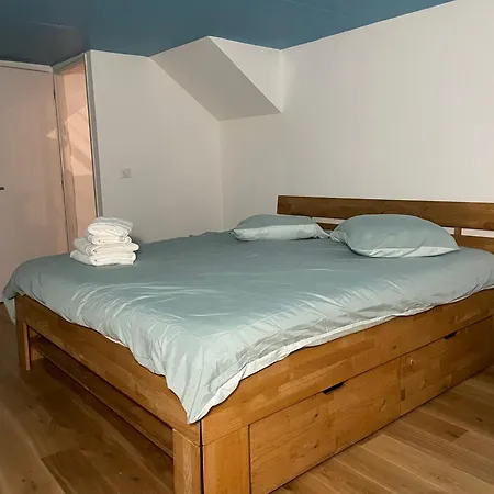 Apparemment Choucas Bagnères-de-Bigorre