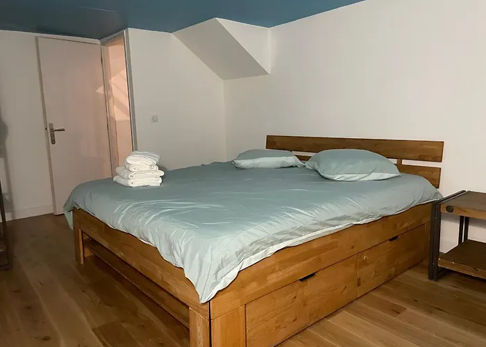 Apparemment Choucas Bagnères-de-Bigorre